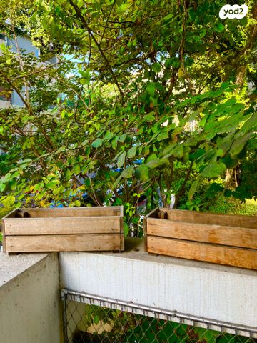 דירה, מזא"ה, לב תל אביב, לב העיר צפון, תל אביב יפו