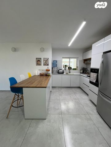 משה גוט לוין 