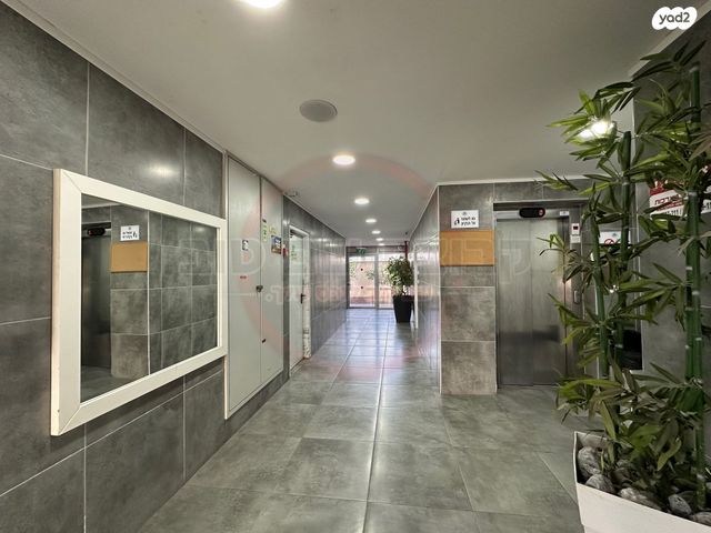 דירה, יסמין, לב העמק, עפולה