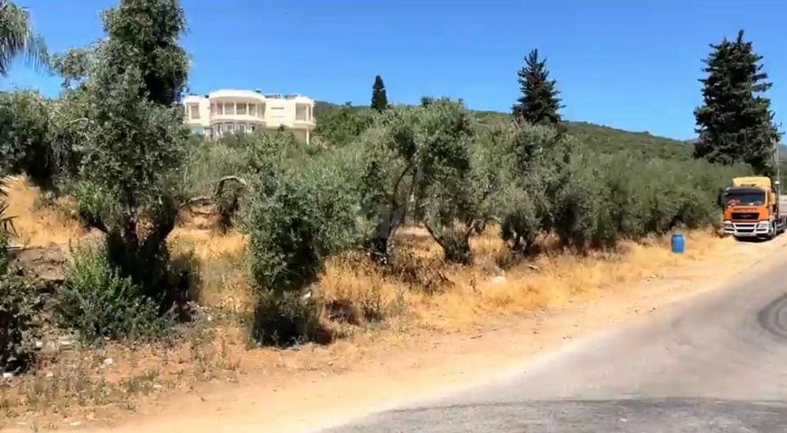 משק חקלאי/ נחלה