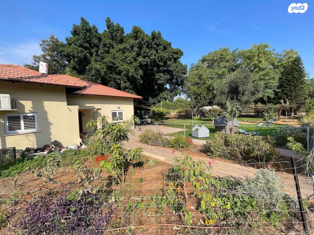 בית פרטי/ קוטג', סלע, רחובות