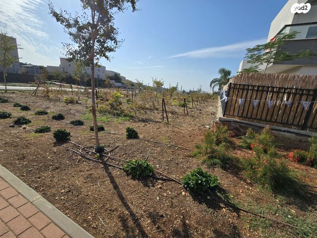 גג/ פנטהאוז, קצרין