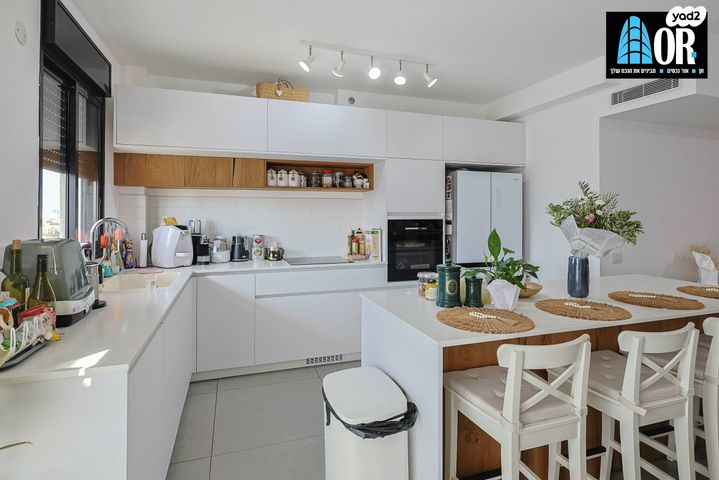 יצחק בן צבי 