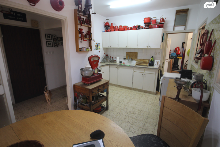 דירה, ד"ר מוסקוביץ', ב' / צפון מערב העיר, רחובות