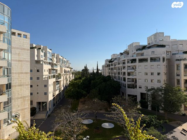 אלכסנדר סשה ארגוב 