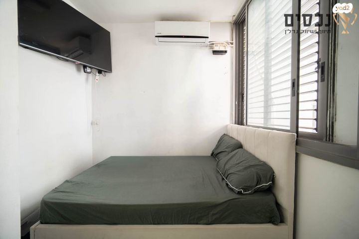 דירה, קרול, פתח תקווה