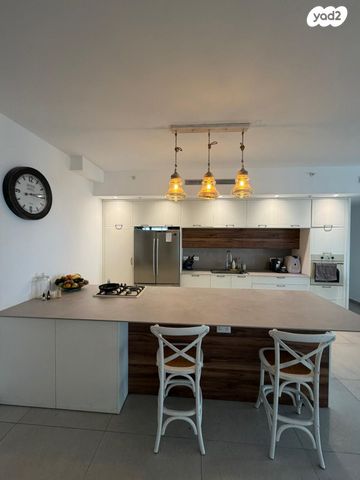 אמנון ליפקין שחק 