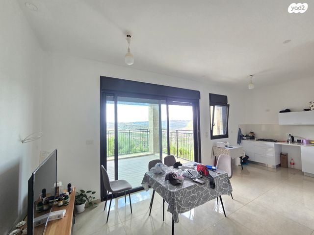 אבנר חי שאקי 