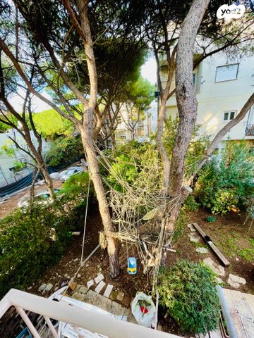 דירה, דפנה, רמת התשבי, חיפה