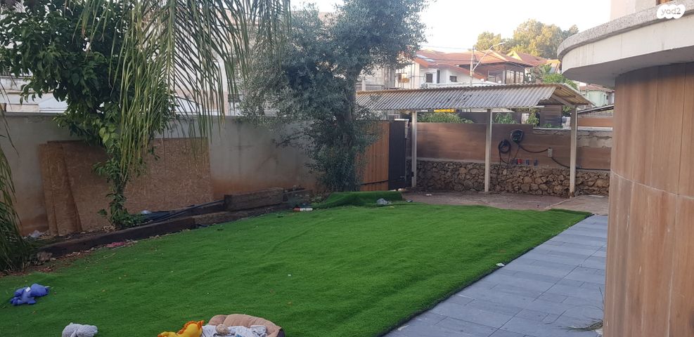 אפרים לוזון 