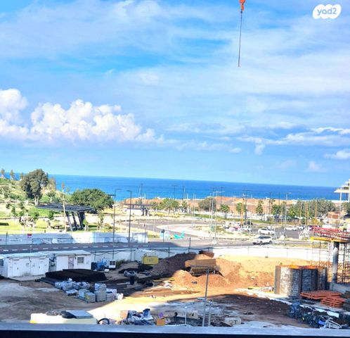 דרום חדש, פארק הים