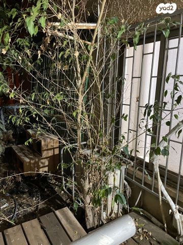 דירה, מוריה 38, שכונה א', באר שבע