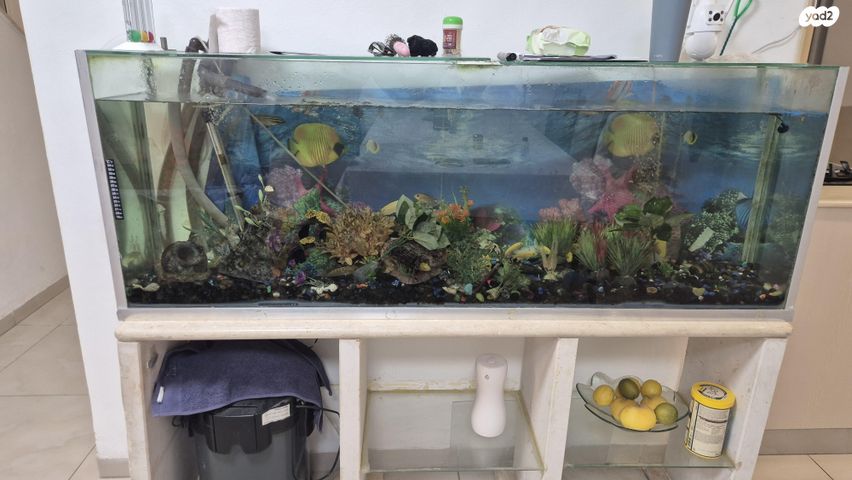 תמונת מודעה - חיות מחמד