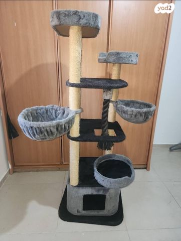 תמונת מודעה - חיות מחמד