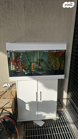 תמונת מודעה - חיות מחמד