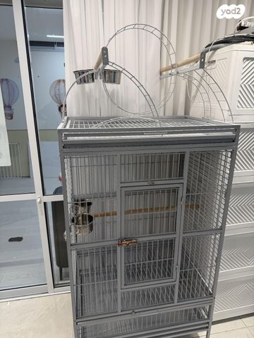 תמונת מודעה - חיות מחמד