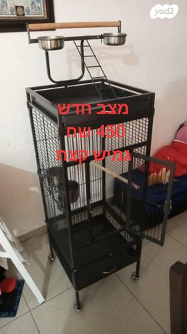 תמונת מודעה - חיות מחמד