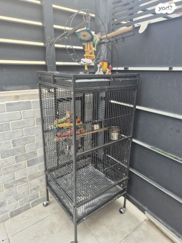 תמונת מודעה - חיות מחמד