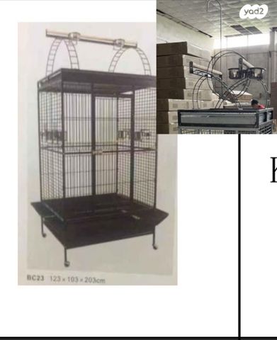 תמונת מודעה - חיות מחמד