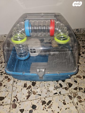 תמונת מודעה - חיות מחמד