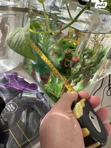 תמונת מודעה - חיות מחמד