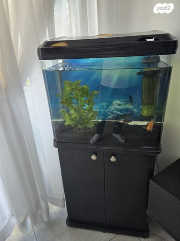 אביזרים | אקווריום