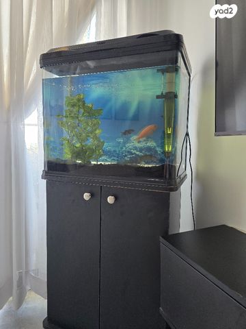 אביזרים | אקווריום