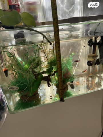 אביזרים | אקווריום