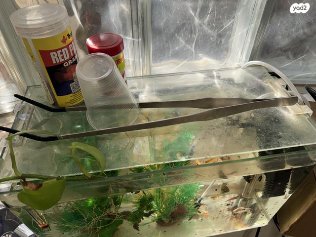 אביזרים | אקווריום