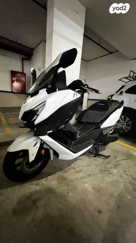 סאן יאנג קרוזים