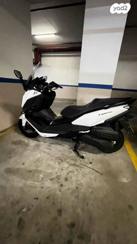 סאן יאנג קרוזים