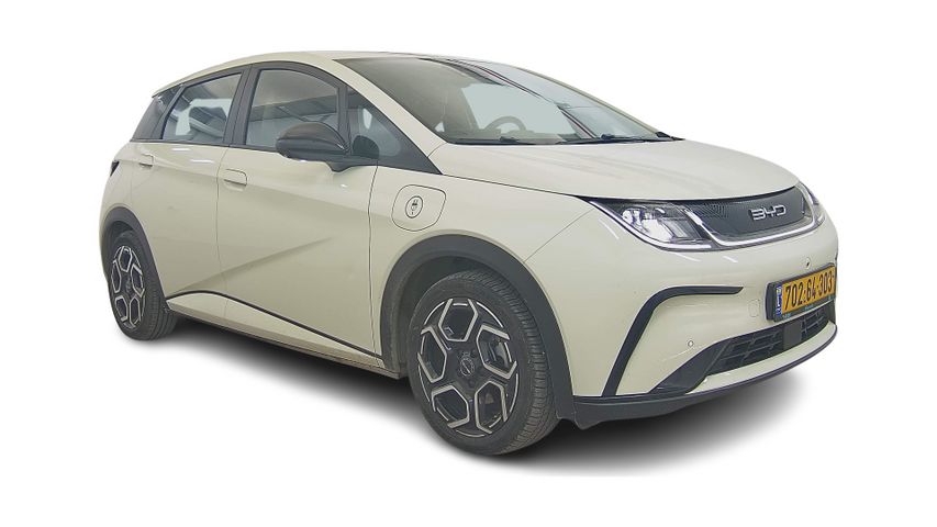 בי.ווי.די דולפין