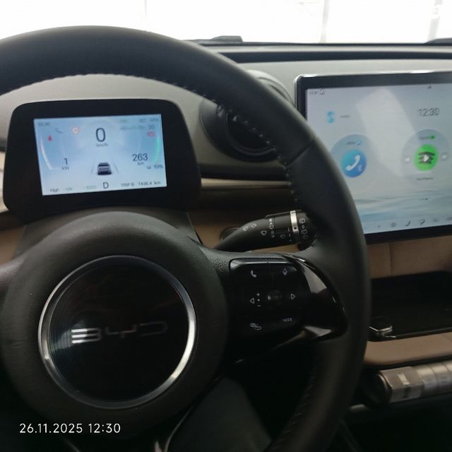 בי.ווי.די דולפין