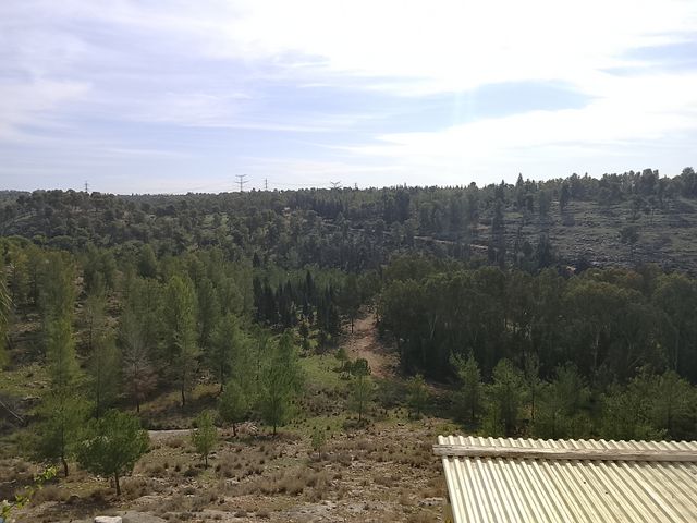 דירה, רבי יוסי בן קיסמא 40, אלעד, אלעד