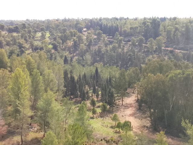 רבי יוסי בן קיסמא 40