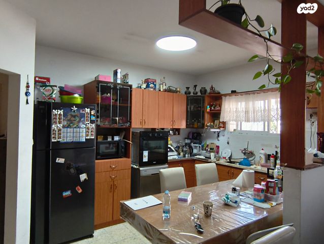 דוד אלעזר 15