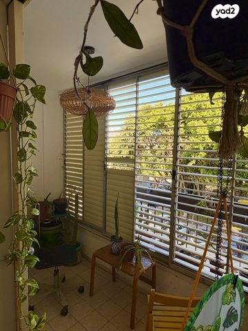 כוכבי יצחק 3