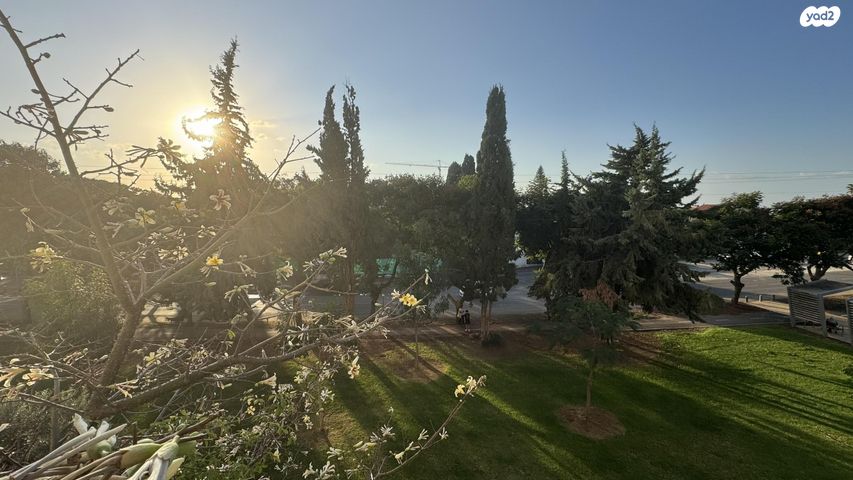 משה וילנסקי 74