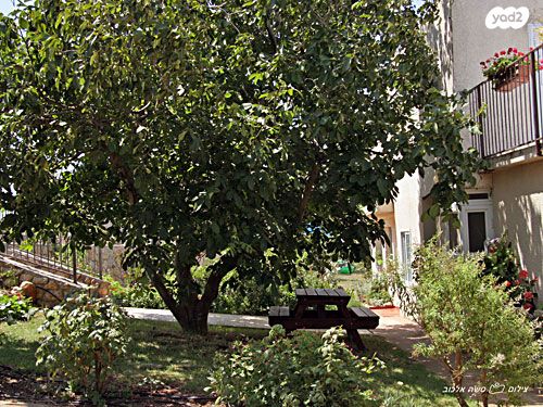 דירה, מרגליות, מרגליות, מרגליות