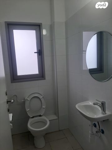 דירה, האנפה 14, החותרים, טירת כרמל