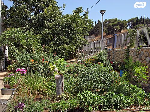 דירה, מרגליות, מרגליות, מרגליות