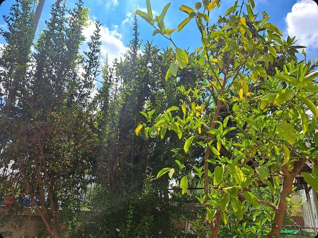 דירת גן, בורוכוב 20, קרית היובל, ירושלים