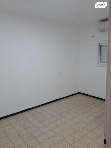 דוד וולפסון 29