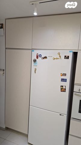 ליאון בלום 2