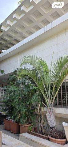 בית פרטי/ קוטג', האר"י 9, ראשונים, ראשון לציון