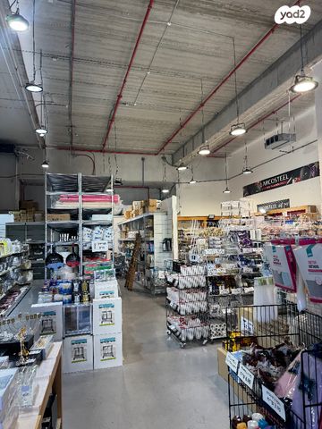 יהודה איתין 1