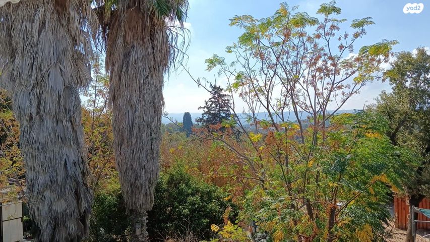 טבעון הוותיקה