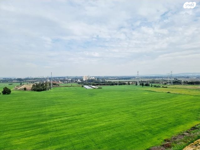 דירה, בית אליעזר, חדרה