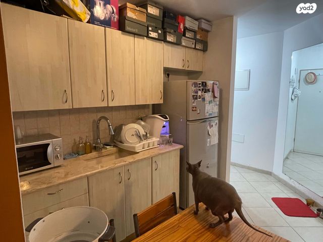 דירה, פלורנטין, פלורנטין, תל אביב יפו