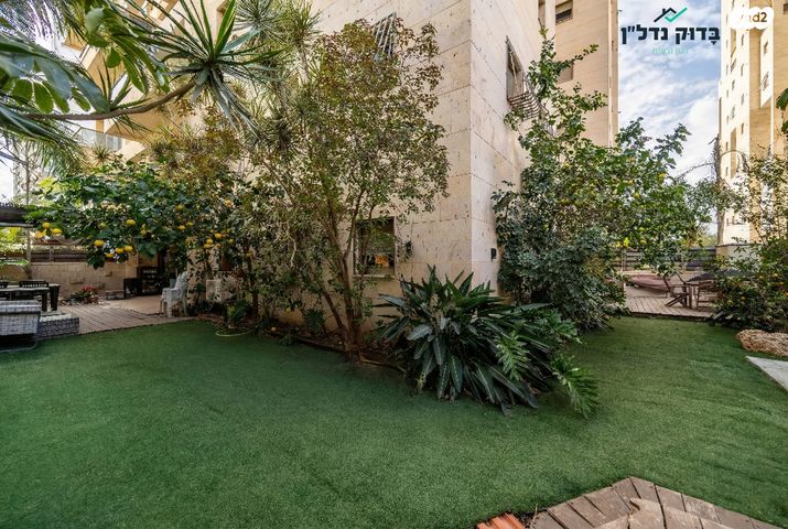 אילונה פהר 11